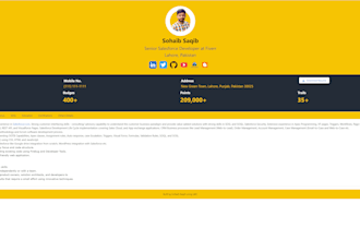 craft your professional portfolio with salesforce