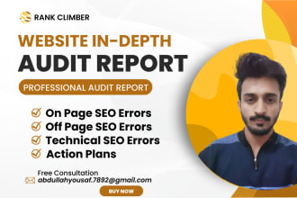 do professional no 1 website audit