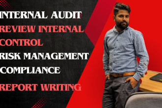 conduct internal, external, and interim audit of financial statements expert