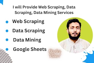 provide web scraping, data scraping, data mining services