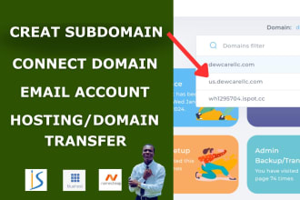 create custom subdomain, domain extension, email setup and domain transfer