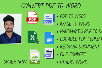 convert any file format expert in PDF, word, excel, retyping