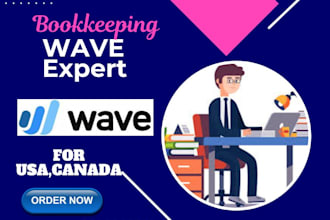 do bookkeeping, accounting, financial statements using wave