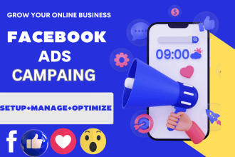 be your fb ads manager to run fb ads campaing