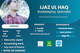 professional virtual accountant and data entry expert
