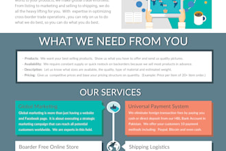 design professional brouchure for you