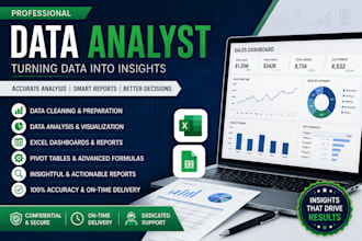 provide expert mis, excel, and google sheets solutions