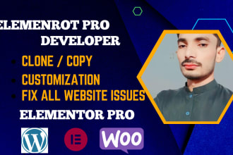 clone, design , customize wordpress website with  elementor and fix all issues