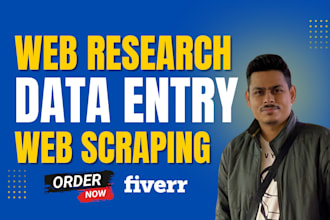 do any type of data entry and website research work