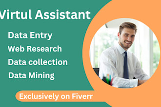 your virtual assistant for data entry, data mining,