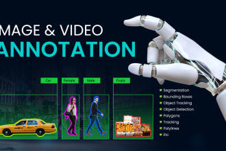 image, video annotation, and data labelling for ai machine learning