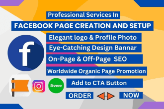 do professional facebook page creation and setup
