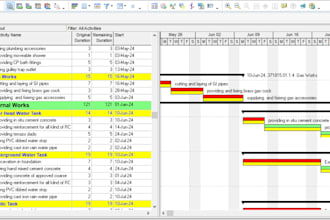 create ms project gantt chart and project plans