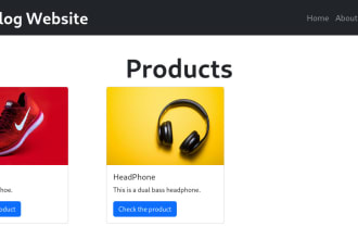 create dynamic catalog and portfolio website