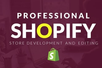 set up professional shopify store and customization