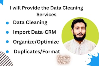 provide data cleaning services