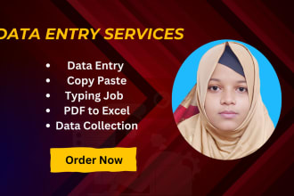 do data entry, copy paste, data collection, pdf to excel