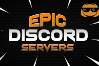 create a professional discord server set up