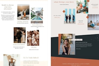 do a pro author website,ebook launch,book ebook author portfolio website blogger