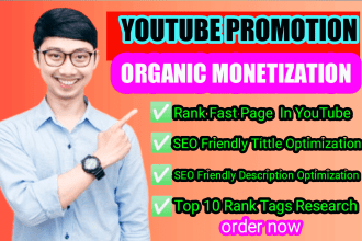 do super fast organic youtube video seo and promotion for monetization