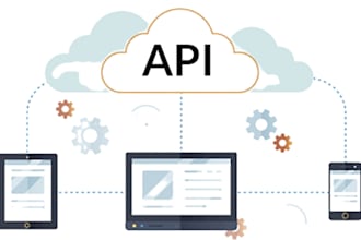 do integration and API development