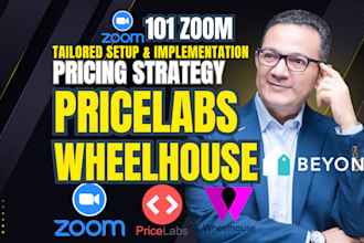 tailored pricelabs, wheelhouse or beyond pricing strategy by expert