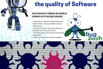 do software testing ensuring bug free excellence