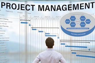manage the development projects