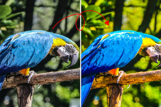 create custom lightroom preset pack for you