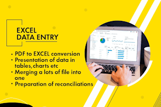 do excel data entry