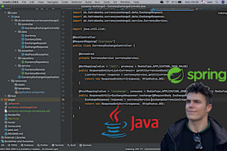 code university project java oop, spring, swing, UI