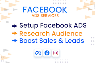 setup facebook ads campaign and instagram ads for  sales and website traffic