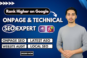 do onsite onpage SEO and technical optimization for your wordpress website