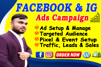 be professional fb ads manager, fb advertising expert