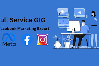 run facebook and instagram ads campaign,marketing,advertising