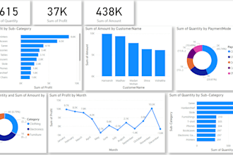 create professional power bi dashboards and reports