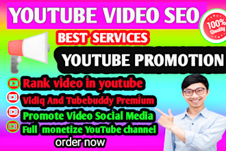 do super fast usa organic youtube video SEO expert and viral for growth