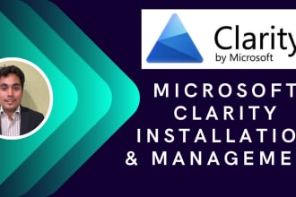 install microsoft clarity on your wordpress website