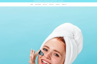 create your online store or dropshipping store