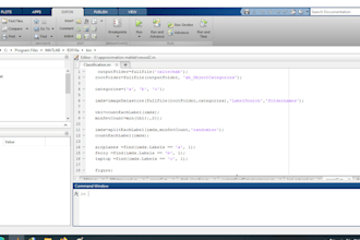 do matlab and python programming, discount for three days