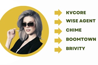 setup kvcore wise agent chime boomtown brivity real geeks liondesk real estate
