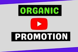 provide professional youtube video marketing and promotion