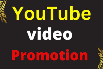 do organic youtube video promotion to niche relevant audience