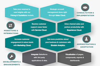 provide salesforce implementation, migration, consulting