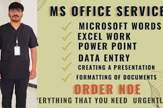 do urgent excel work ,excel assignment, data entry work