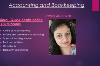 do bookkeeping setups and bank reco in qb xero and wave