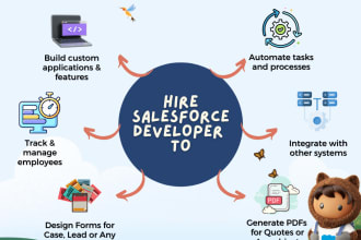 be your salesforce developer and consultant
