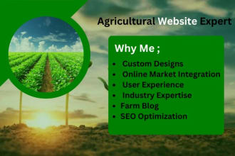 create the website for cassava website for cassava beans