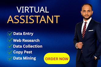 data entry, copy pest, virtual assistant of your business