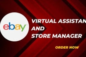 complete manage your ebay dropshipping store and automation